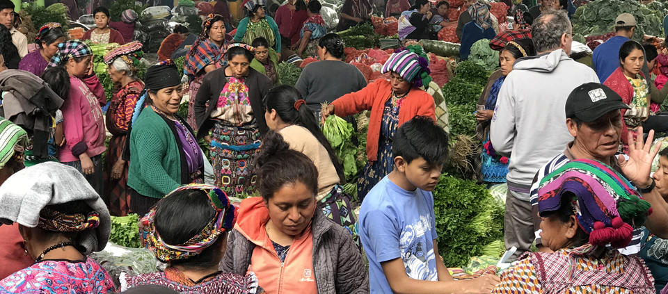 oaxaca-birding