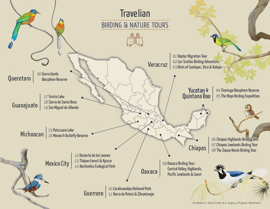 Mexico Birding Tours Map